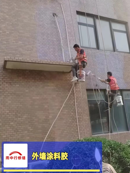 排湖风景区外墙防水修缮